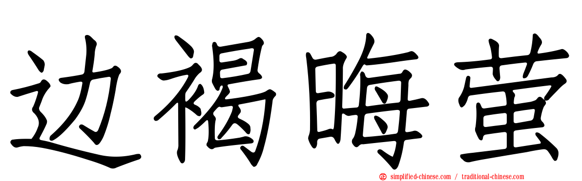 边褐晦萤