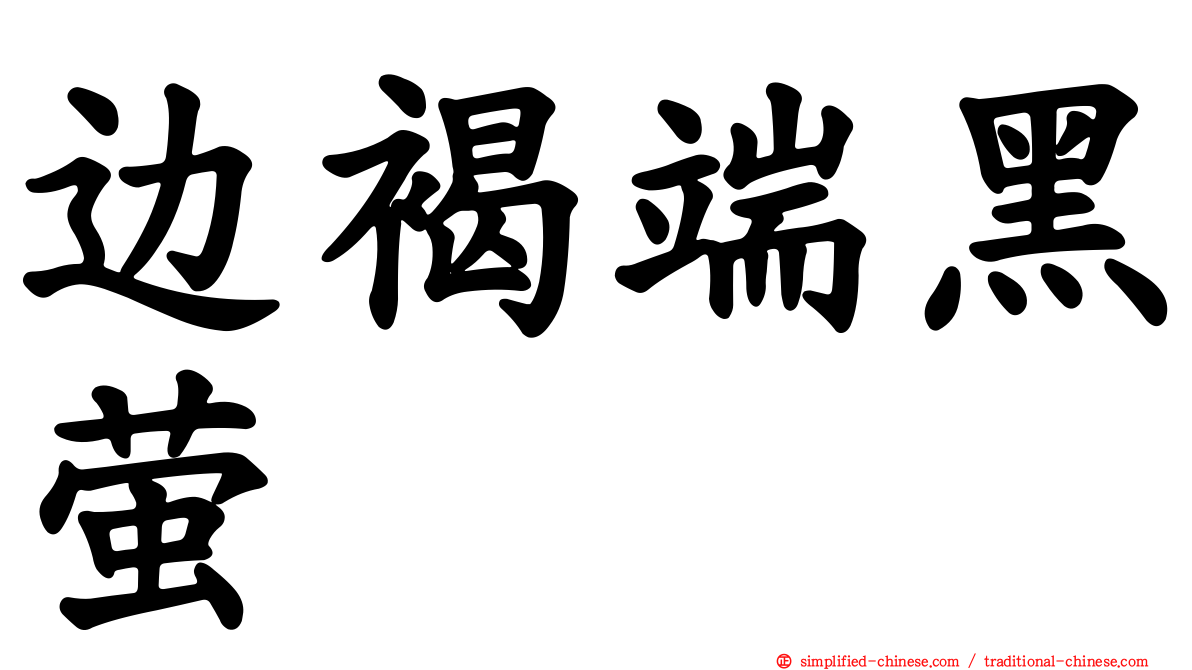 边褐端黑萤