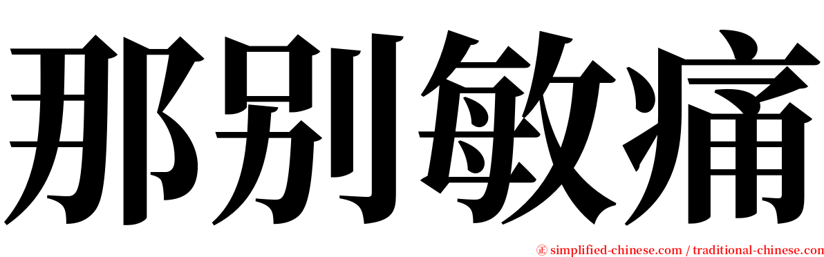 那别敏痛 serif font