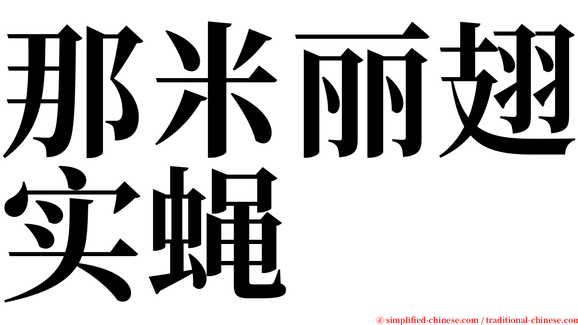 那米丽翅实蝇 serif font
