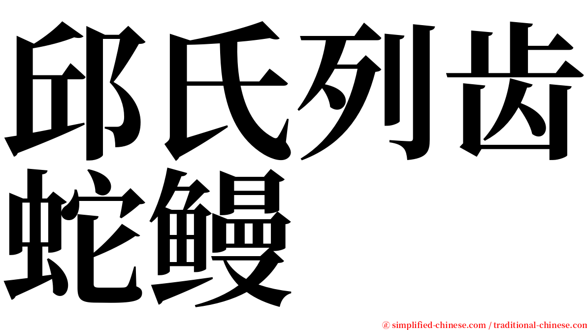 邱氏列齿蛇鳗 serif font