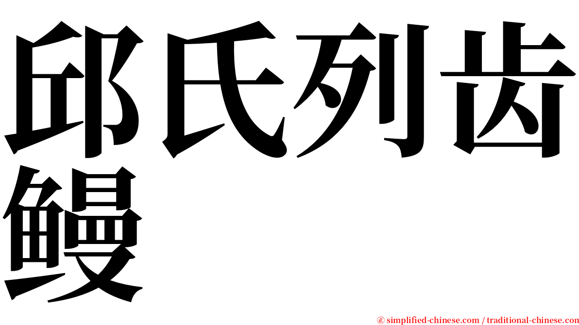 邱氏列齿鳗 serif font