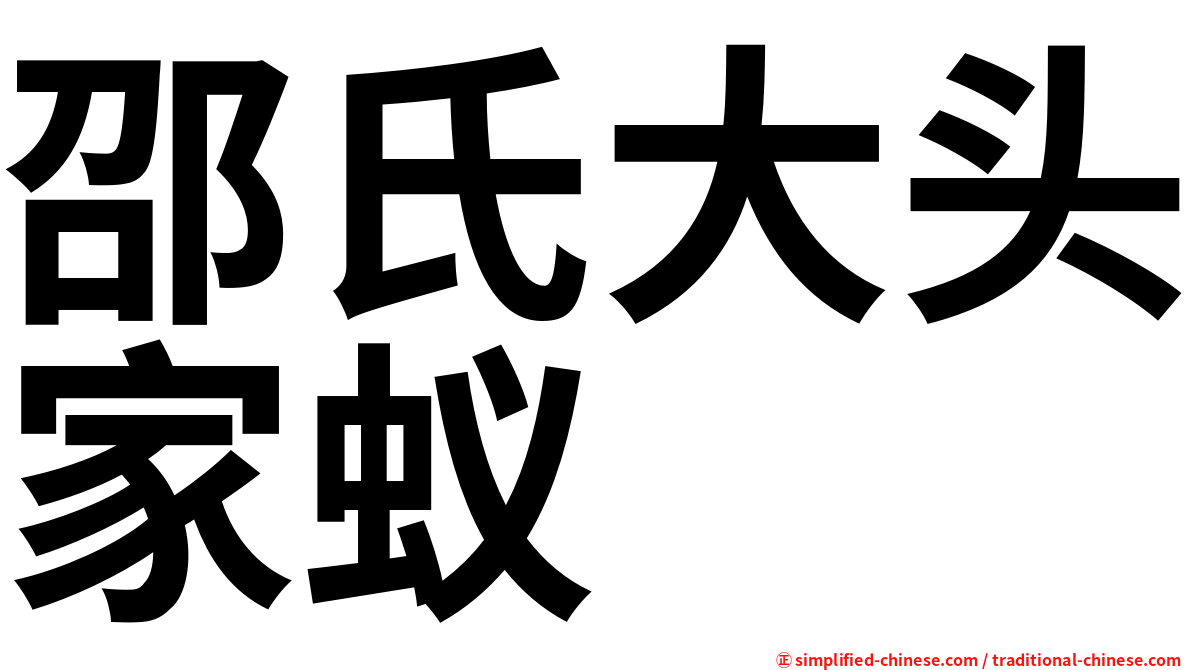 邵氏大头家蚁