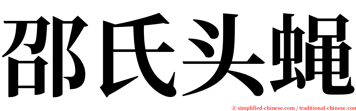 邵氏头蝇 serif font