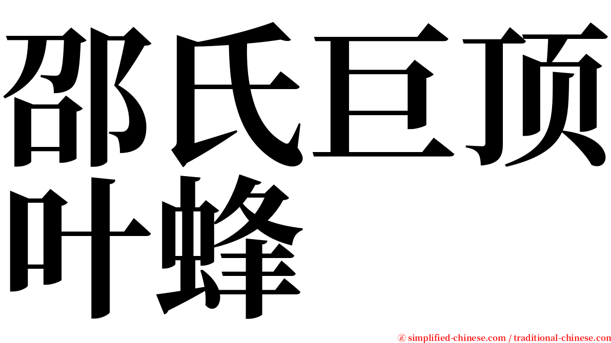 邵氏巨顶叶蜂 serif font