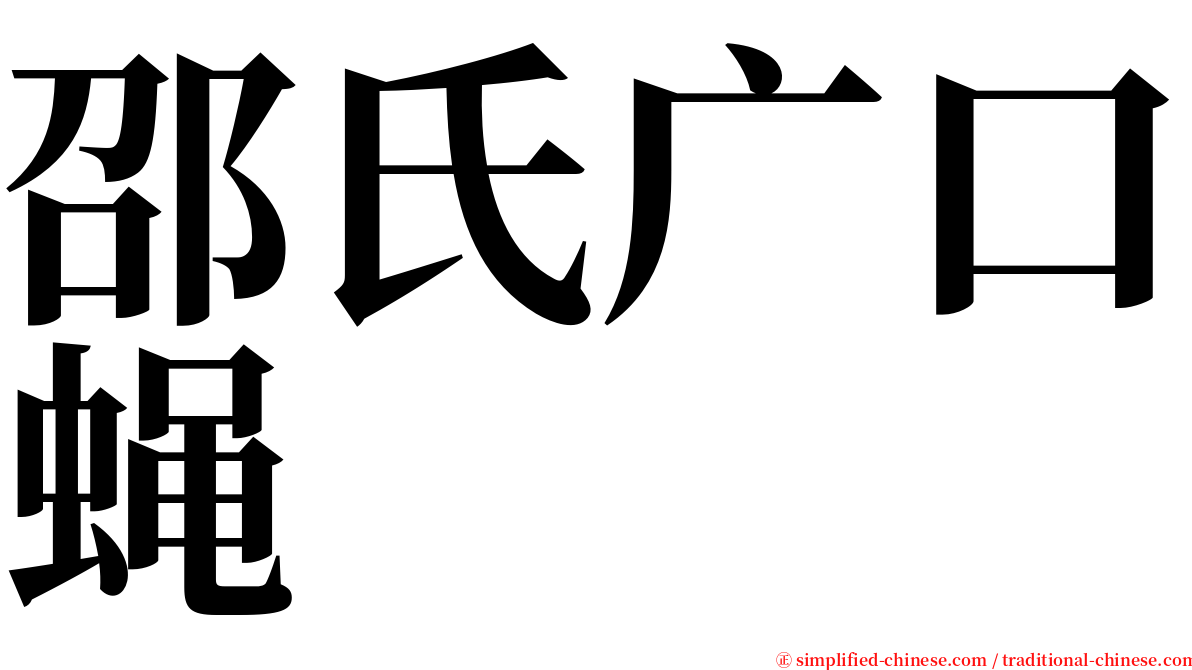 邵氏广口蝇 serif font