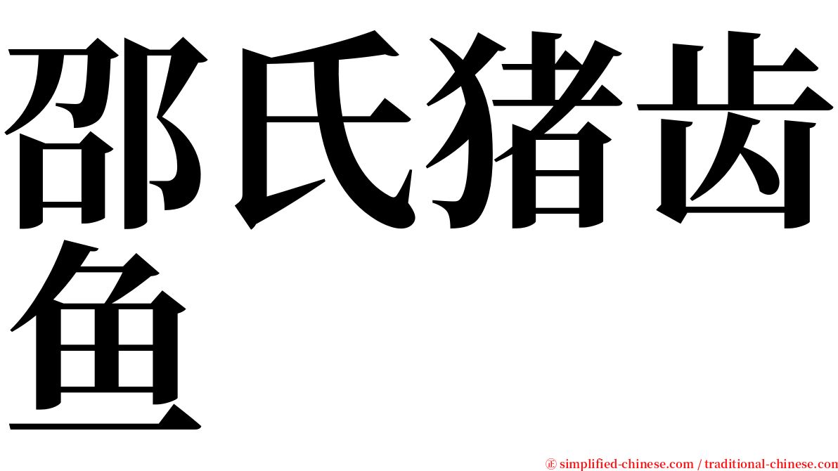 邵氏猪齿鱼 serif font