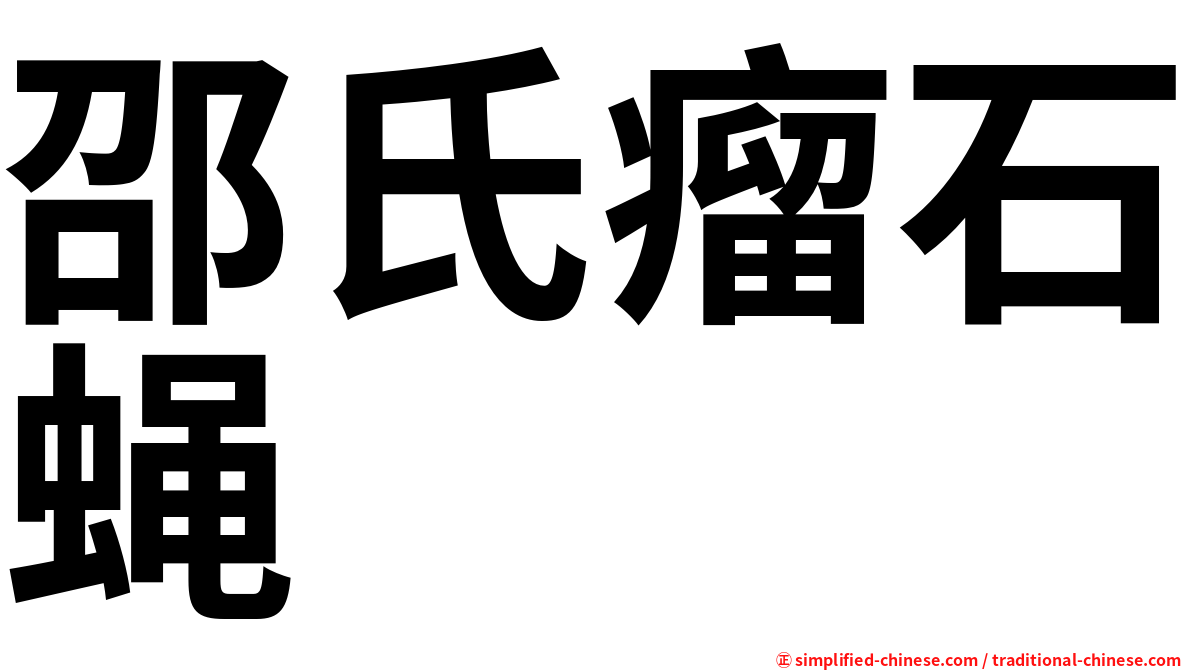 邵氏瘤石蝇