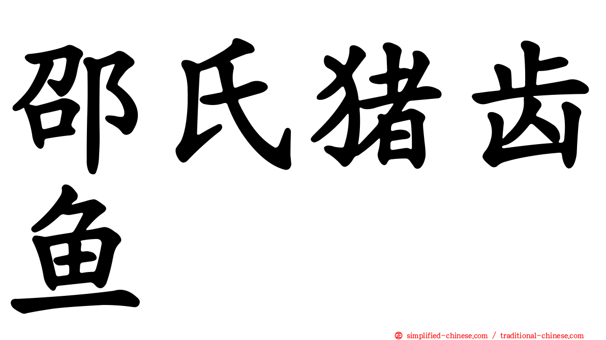 邵氏猪齿鱼