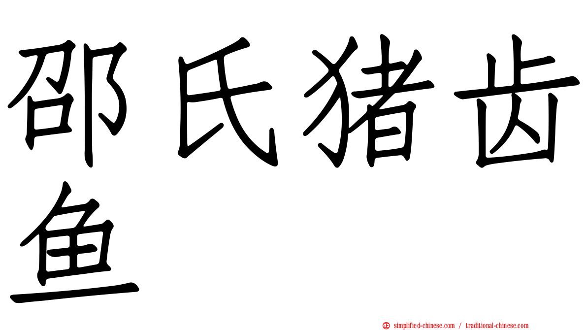 邵氏猪齿鱼