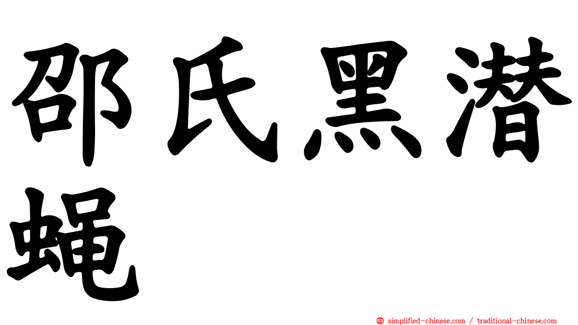 邵氏黑潜蝇