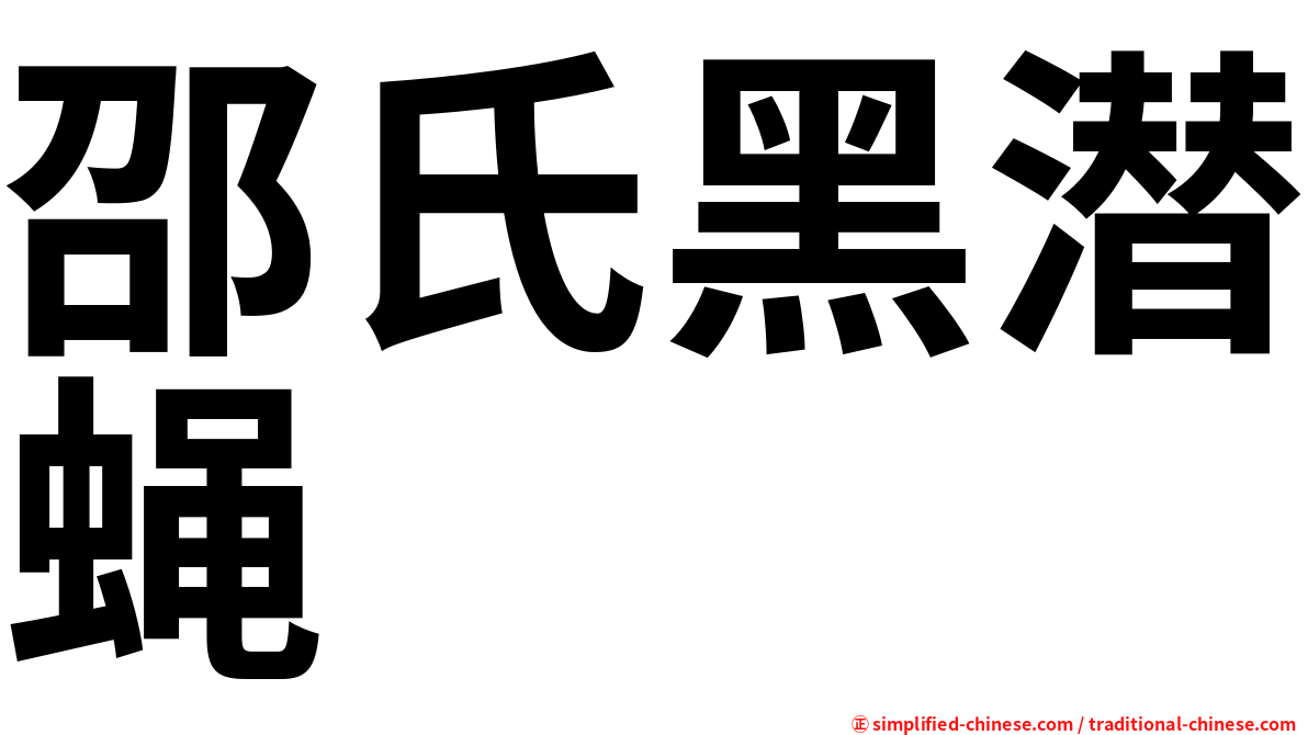 邵氏黑潜蝇