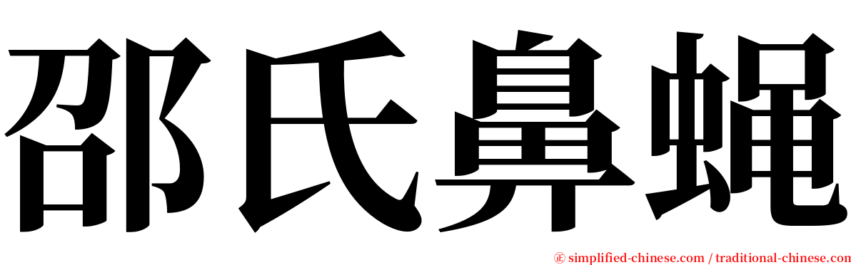 邵氏鼻蝇 serif font