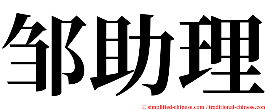 邹助理 serif font
