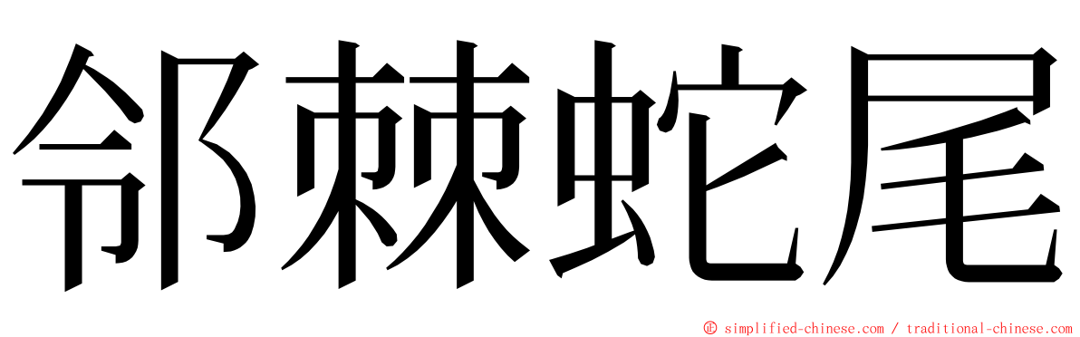 邻棘蛇尾 ming font