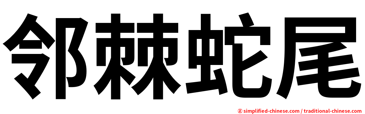 邻棘蛇尾