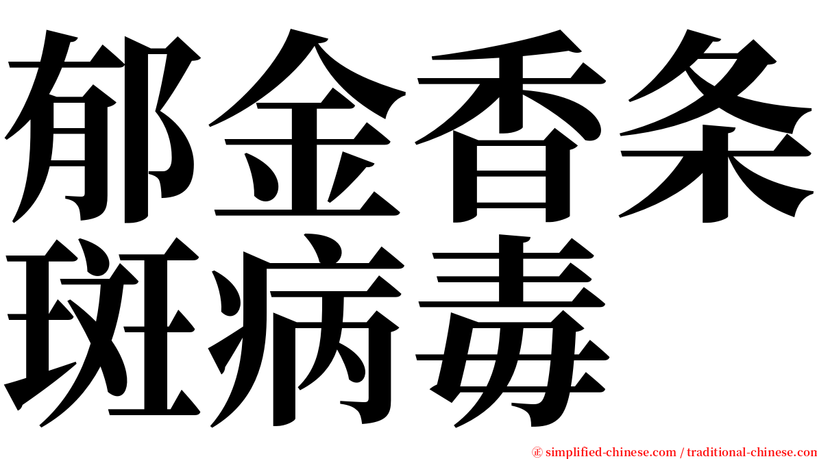 郁金香条斑病毒 serif font