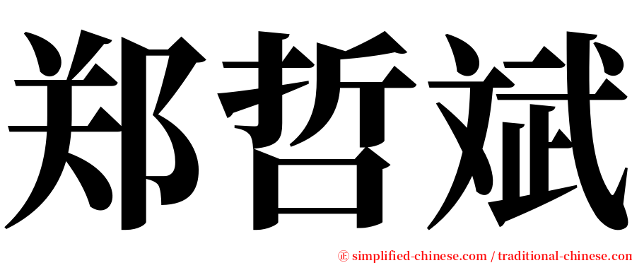 郑哲斌 serif font