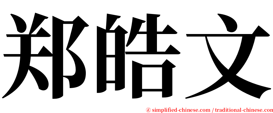 郑皓文 serif font