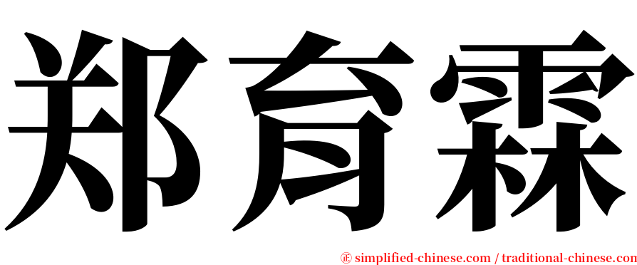 郑育霖 serif font