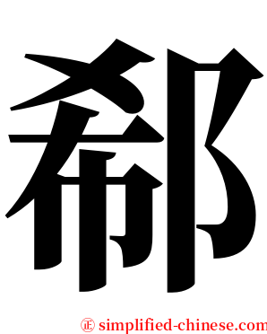 郗 serif font