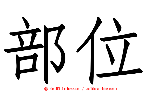 部位