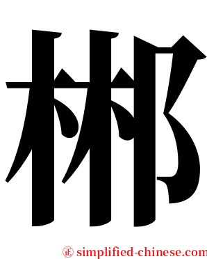 郴 serif font