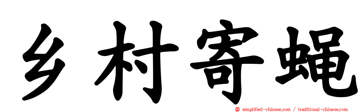 乡村寄蝇