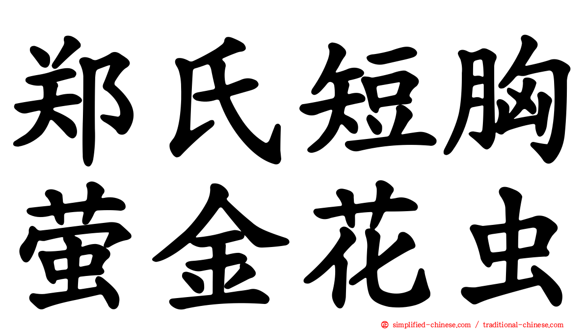 郑氏短胸萤金花虫