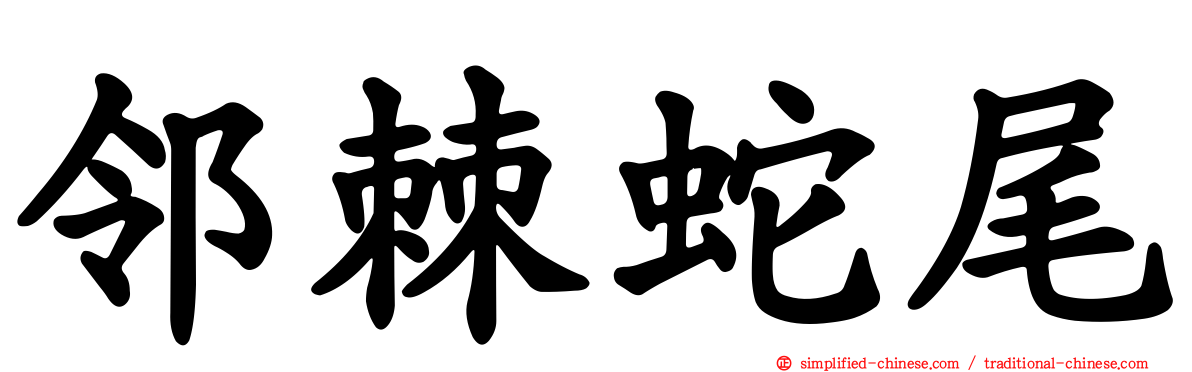 邻棘蛇尾