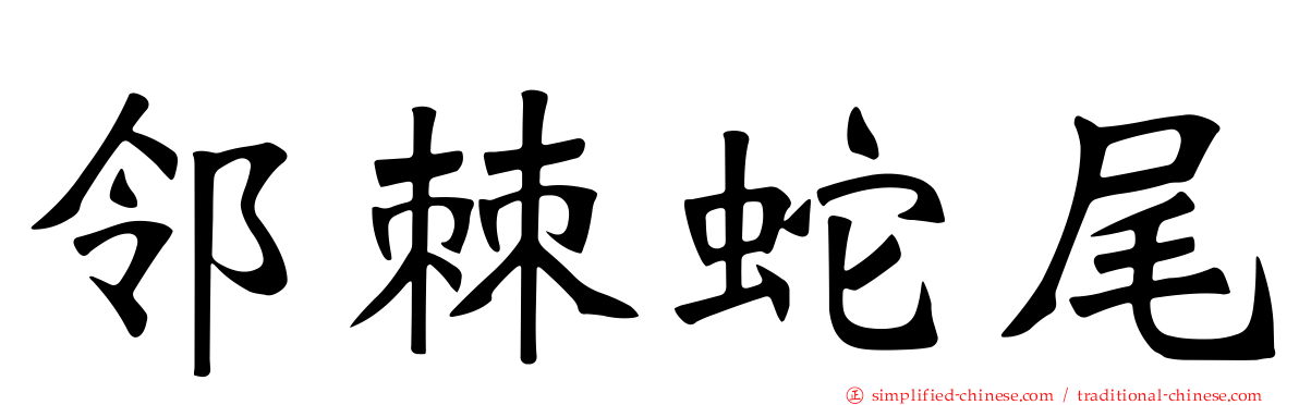 邻棘蛇尾