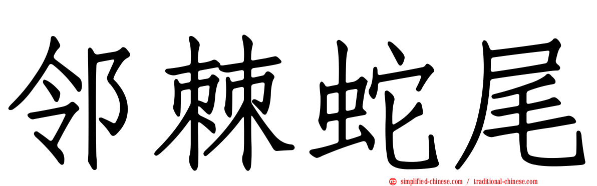 邻棘蛇尾