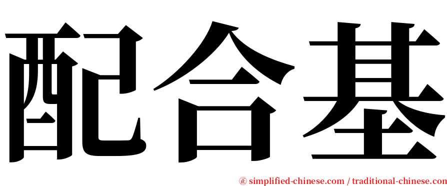 配合基 serif font