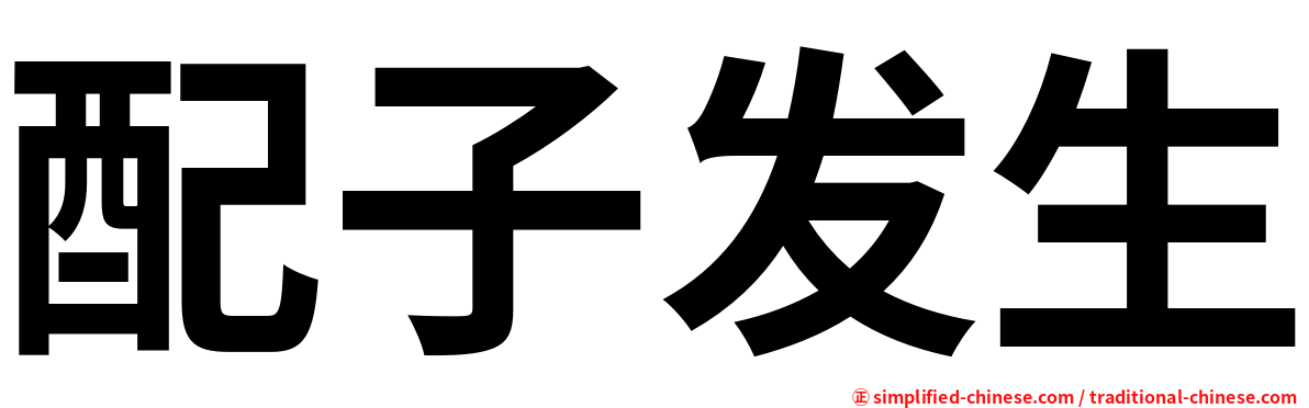 配子发生