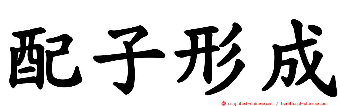 配子形成