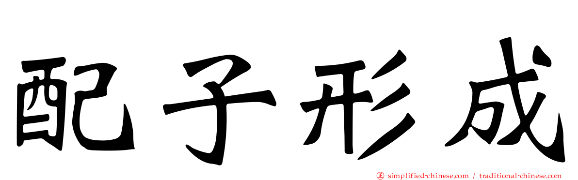 配子形成