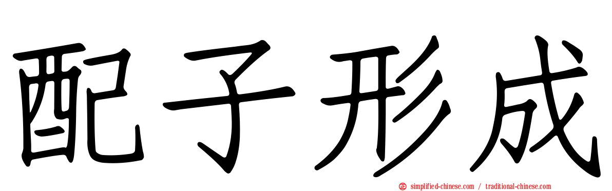 配子形成