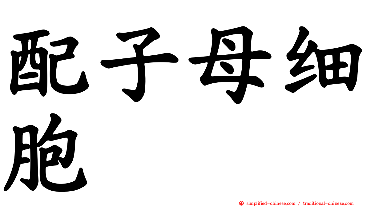 配子母细胞