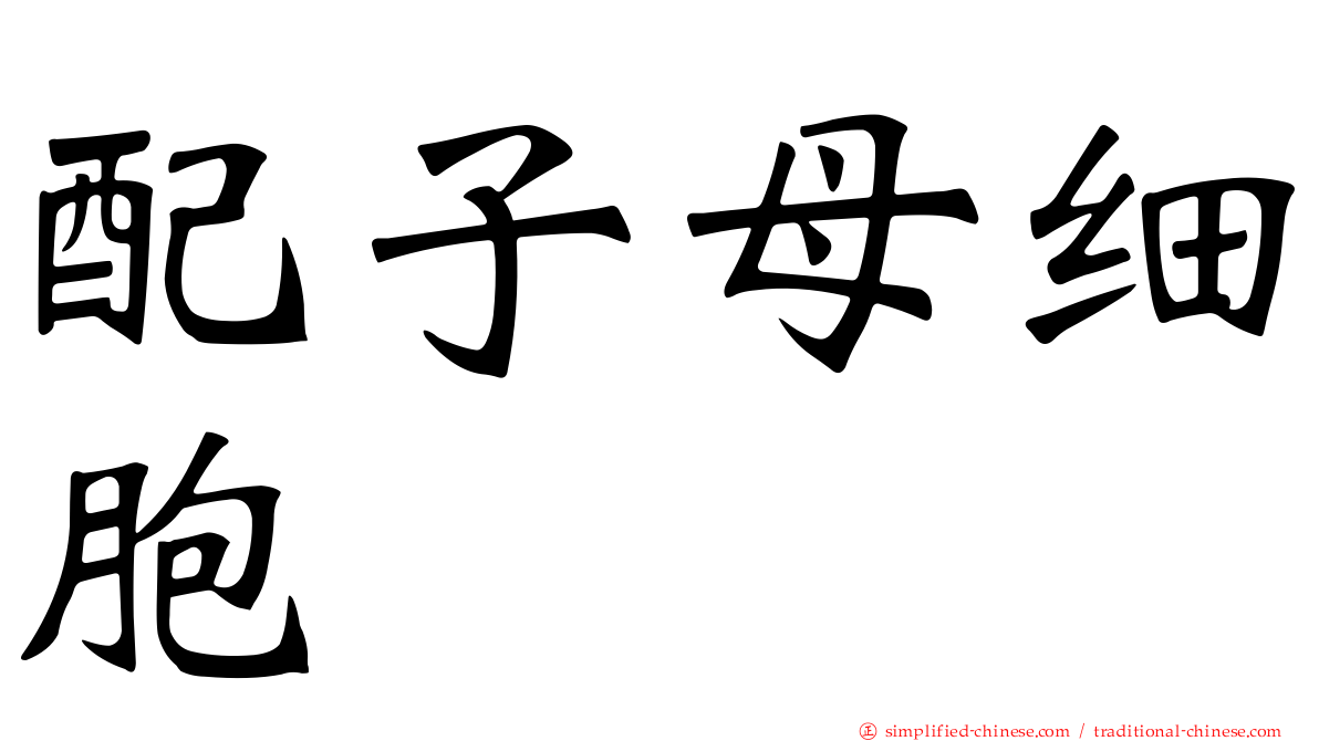 配子母细胞