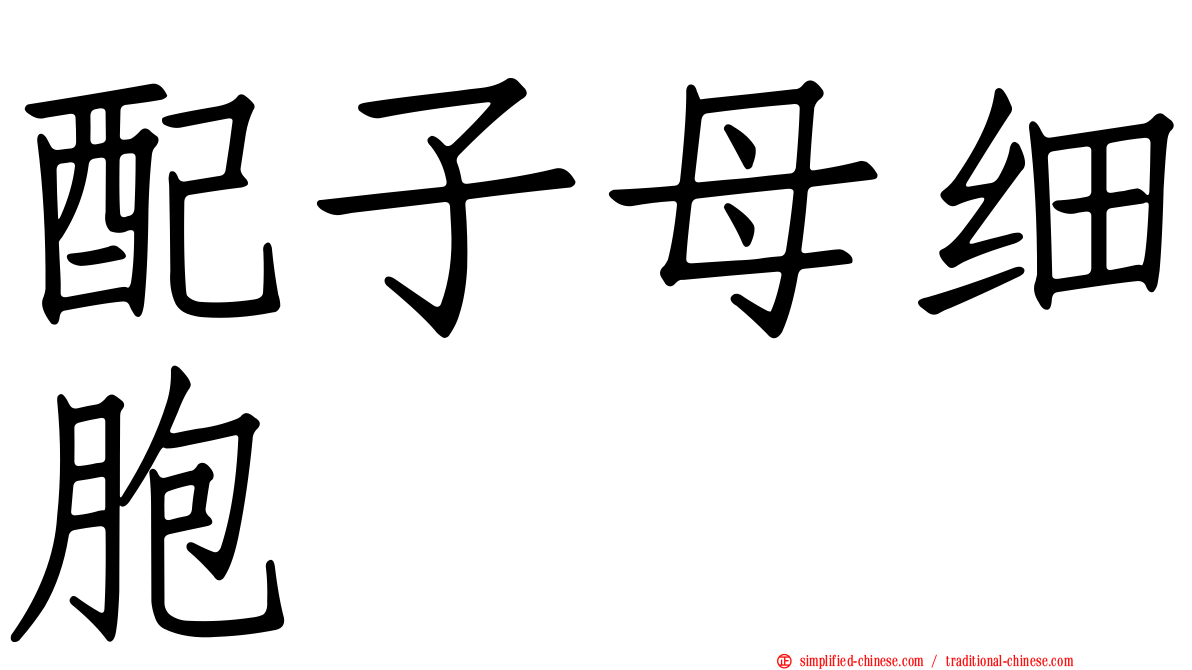 配子母细胞
