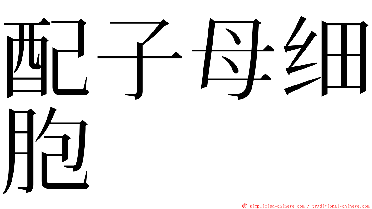 配子母细胞 ming font