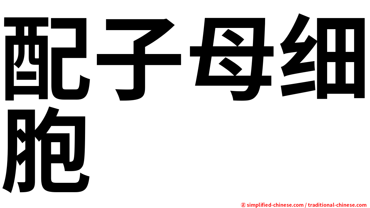 配子母细胞