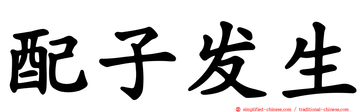 配子发生