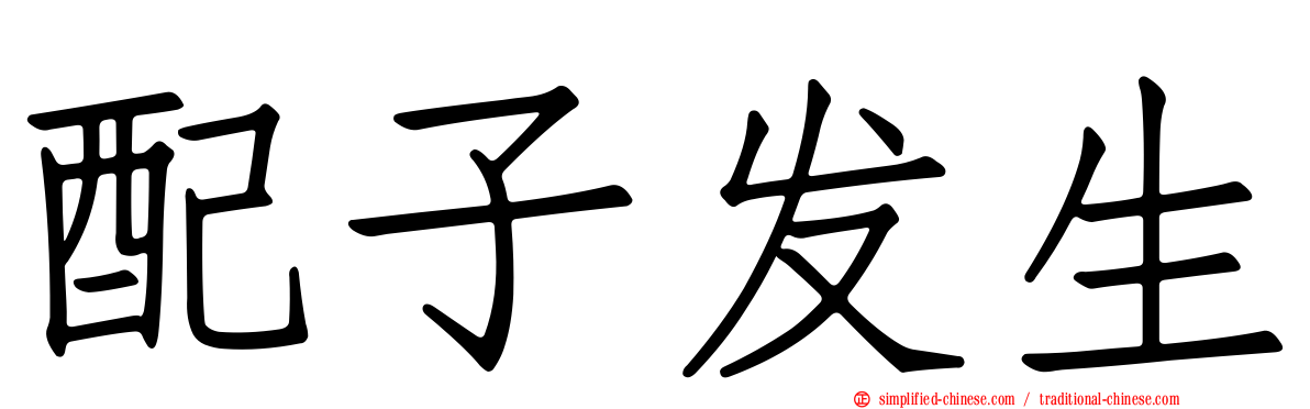 配子发生