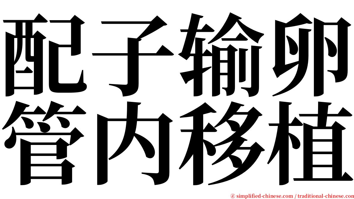 配子输卵管内移植 serif font