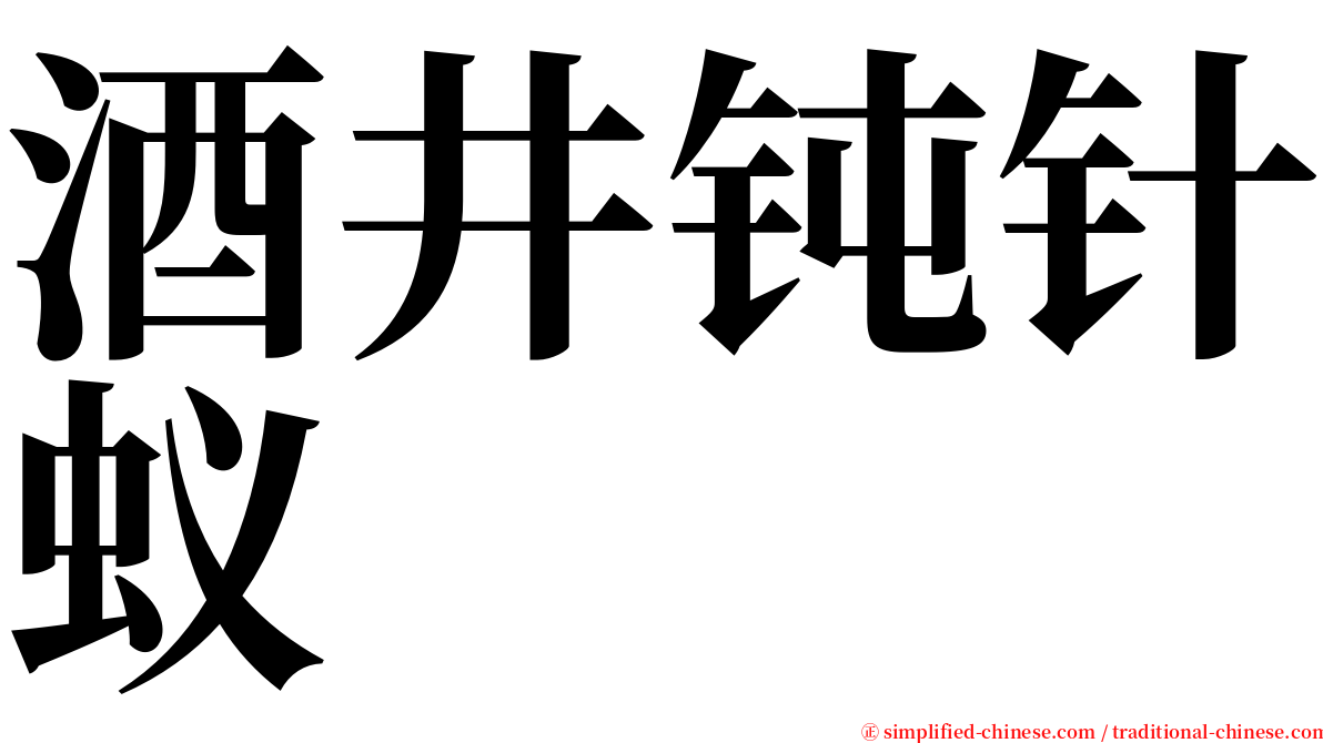 酒井钝针蚁 serif font