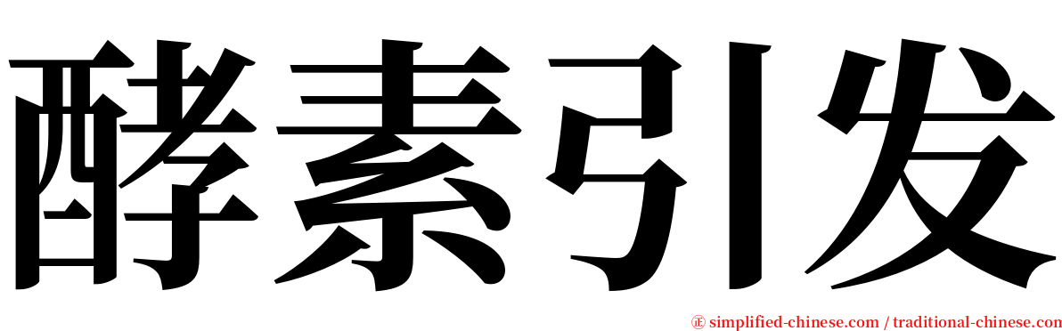 酵素引发 serif font