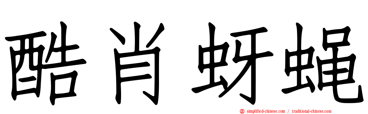 酷肖蚜蝇