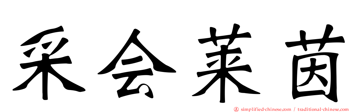 采会莱茵
