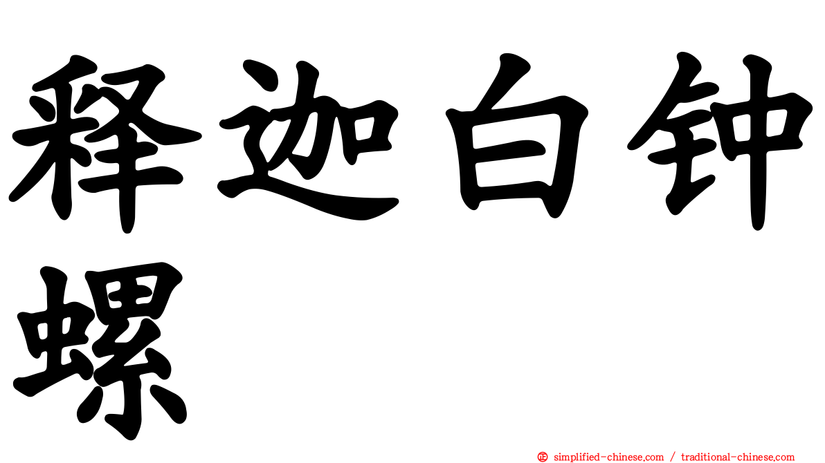 释迦白钟螺